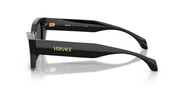 Солнечные очки VERSACE 0VE4488U GB1/87