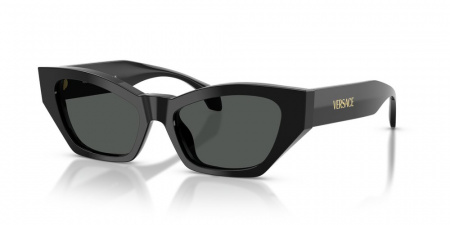 Солнечные очки VERSACE 0VE4488U GB1/87