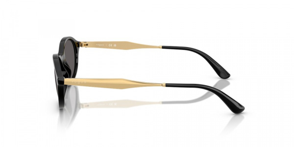 Солнечные очки VOGUE 0VO5625S W44/87
