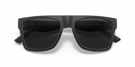 Солнечные очки ARMANI EXCHANGE 0AX4113S 807887