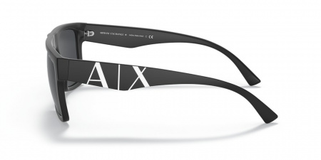 Солнечные очки ARMANI EXCHANGE 0AX4113S 807887