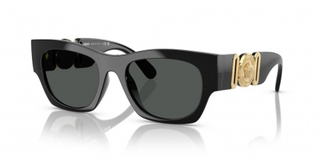 Солнечные очки VERSACE 0VE4479U GB1/87