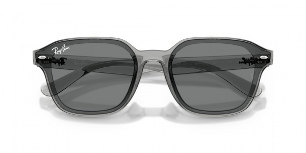 Солнечные очки RAY-BAN 0RB4458D 645087
