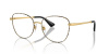 Оправа для очков DOLCE & GABBANA 0DG1355 1364