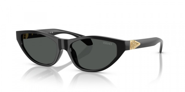 Солнечные очки VERSACE 0VE4491U GB1/87