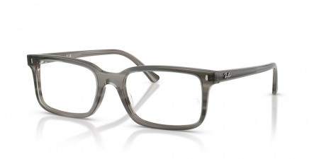 Оправа для очков RAY-BAN VISTA 0RX5445 8453